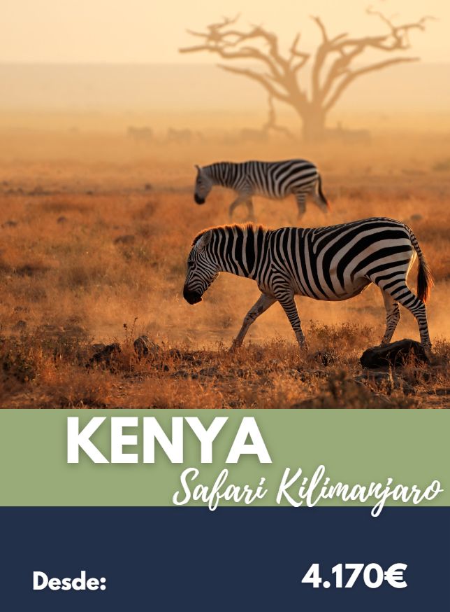 Kenya Safari desde Valencia